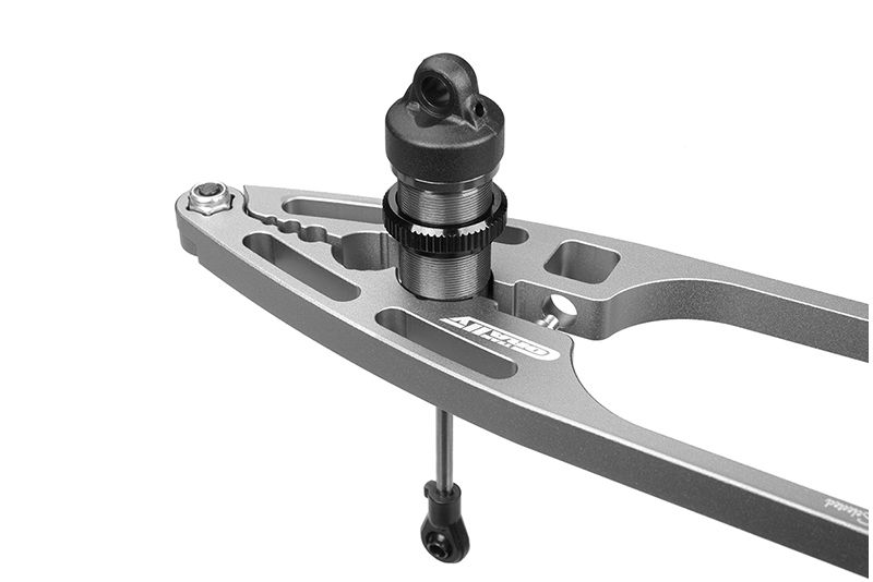 Corally CO-16300 Detail 3 