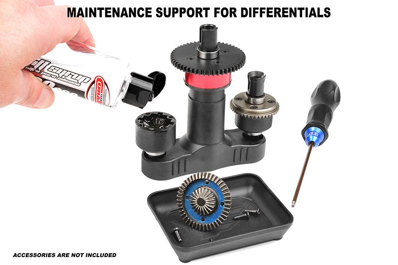 Corally C-16250 Detail 3 